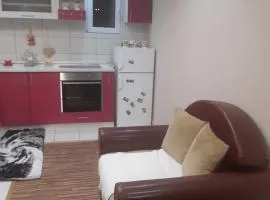 Apartman Strahinjica moj