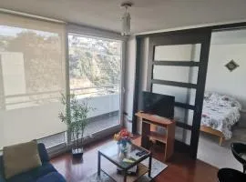 Departamento central Viña del Mar