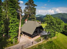 VILA HELENA, vacation home in Velenje