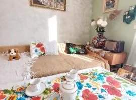 GROUNDFLOOR Vintage RETRO bezbarierovy v rodisti Karel Capek RUR ROBOT v blizkosti Krkonos pro milovniky cyklistiky Vintage non-barier accomodation near mountain for bicycle, JW