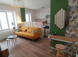 Magnifique T3 centre ville avec WIFI RDC, hotel in Limoux