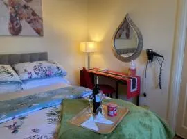 Mountroyal Victorian Studio Self Catering Apartment