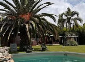 PICHI HOUSE