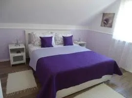 Holiday home in Zalakaros 44897