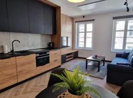 Apartament Książ