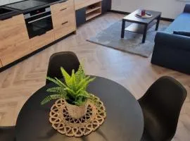 Apartament Książ