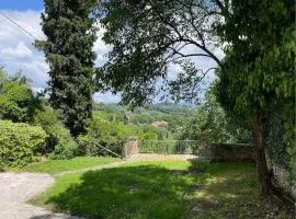 Belvedere