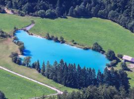 Holiday House Radovna Bled, vila v destinaci Zgornje Gorje