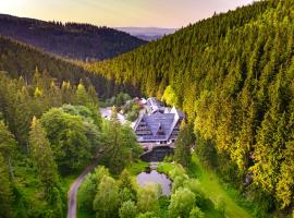 Jelenia Struga MEDICAL SPA Hotel dla dorosłych, hotel in Kowary