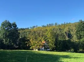 Dom w Dolinie Zdrowia