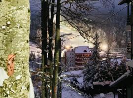 아주가에 위치한 호텔 Studio Mirage@Snow Residence (ski & forest)