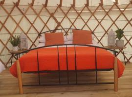 The Lawn Yurt, luxury tent in Tullow