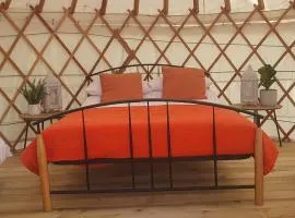 The Lawn Yurt