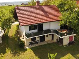 A perfect house with a terrace and a view, holiday home in Juršinci