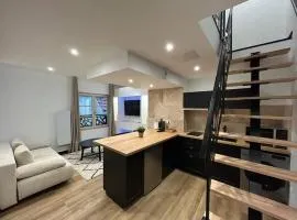 Le Darcy, grand appartement centre ville Dijon, proche gare