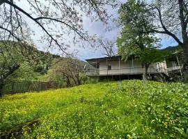 Utsera Veranda