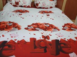 Apartamentul Oaspetilor, holiday rental in Slatina