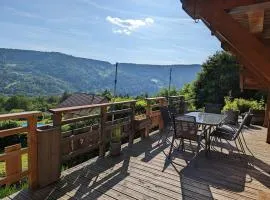 Chalet ensoleillé dans les Hautes Vosges avec terrasse, local vélos et skis, charges incluses - FR-1-589-486
