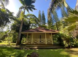 EVASION Bungalow d'Antan Spa，Sarraméa的小屋