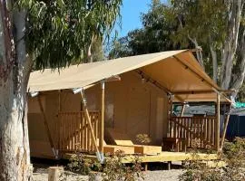 Camping Miramar Playa - tienda familiar