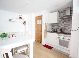 Precioso apartamento en el Pirineo Aragonés, pet-friendly hotel in Sabiñánigo