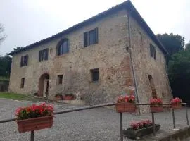 Tipico casolare toscano Tenuta della Selva