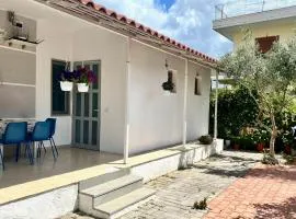 Mateo Villa Vlore
