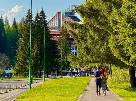 Hotel Piatra Mare