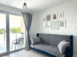 SDH 1 Radzymin comfortable apartment near Warsaw