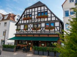 Hotel zum Braunen Hirschen – pensjonat w mieście Bad Driburg