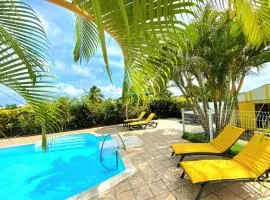 Les Orchidées de Sainte-Anne