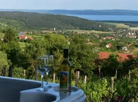 Panoráma Borbirtok