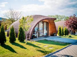 Montana Garden, khu cắm trại ở Răşinari