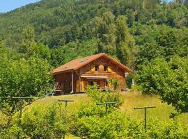 CHALET DES CHARBONNIERS AVEC ETANG - 5 chambres -, готель у місті Сен-Морис-сюр-Мозель