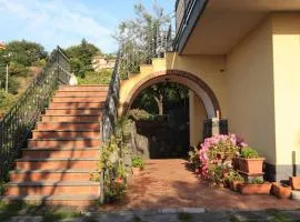 Biologico Dell'Etna