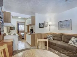 Affordable Breck Getaway with Recent Updates, Spacious Lobby, Outdoor Hot Tubs PM2B