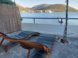 Vitamin Sea house