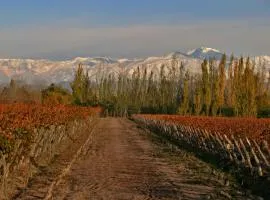 Finca Mosso Lunlunta