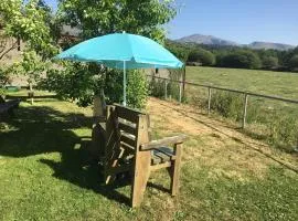 Tyddyn Perthi Farm、ランベリスのファームステイ