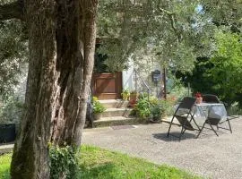 la casetta di Vacone