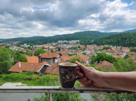 Апартамент Панорамна гледка, hotel in Tryavna