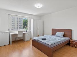 Spacious-Excellent Connection-Parking-Washer, habitación en casa particular en Winterthur