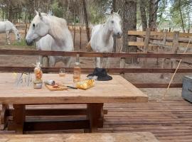 Logement Lodge au cœur de la Manade, lúxustjald í Aigues-Mortes