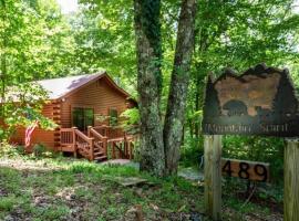 Mountain Spirit Cabin - Fireplace and Hot Tub, villa in Blue Ridge