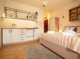 Central Cozy Studio - Dostojevski