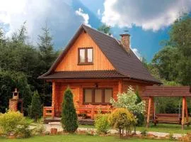 Domki Nad Rozlewiskiem