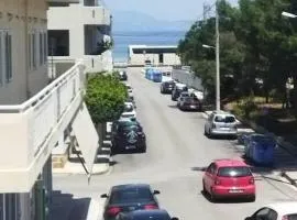 ΕΞΟΧΙΚΟ ΣΤΟ ΚΙΑΤΟ ΔΙΠΛΑ ΣΤΟ ΚΥΜΑ