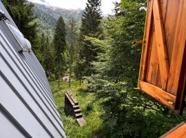 ~Chalet_Rifugio tra i boschi~, hotel in Sella Nevea