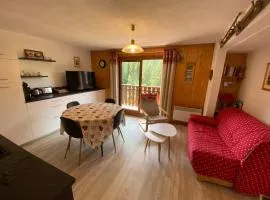 Appartement paisible à Châtel avec Multi Pass dès 3€/jour, proche centre et jardin d'enfants - FR-1-693-12