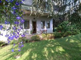 Blue House, apartment in Borgomanero